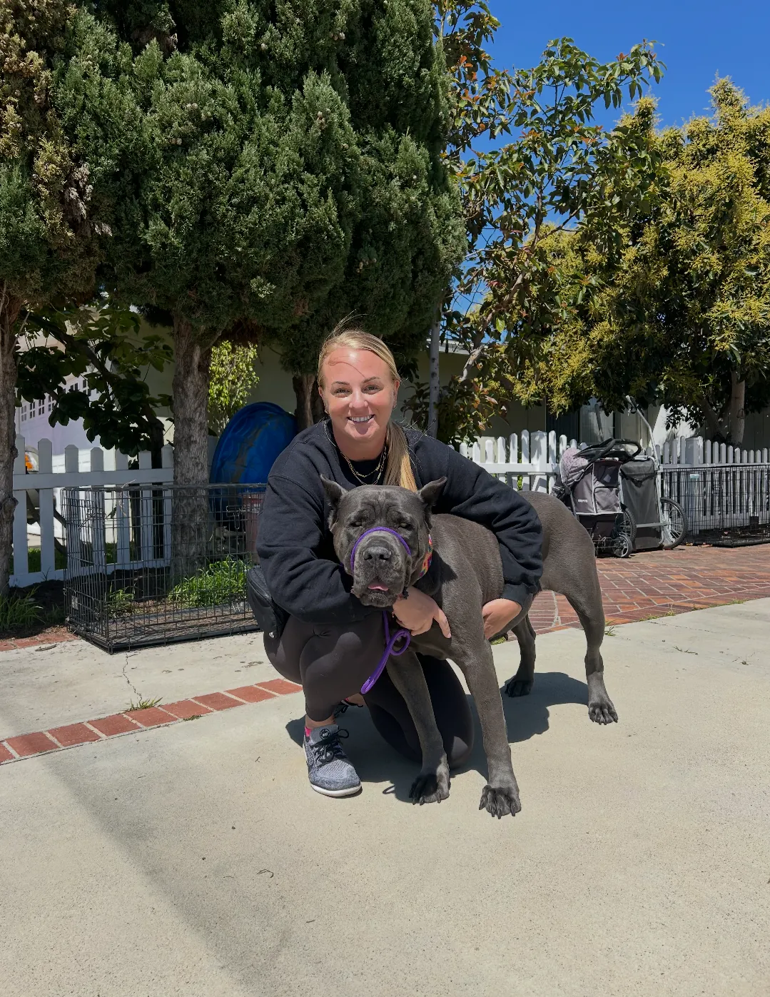 Llysia Calvert crouched on a sunlit driveway with her arms around Zoey, her grey cane corso.